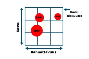 Strateginen Liiketoiminnan Kehittäminen